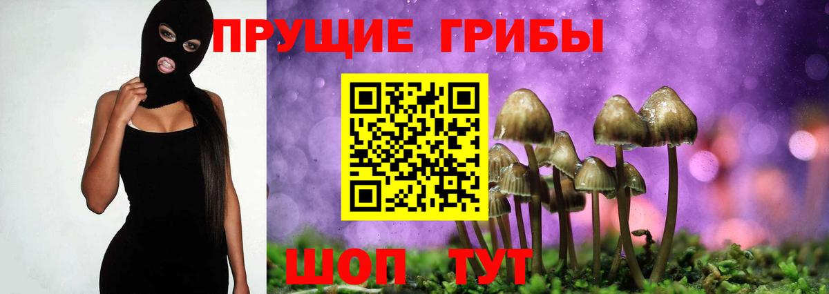 Нефтекамск  Псилоцибиновые грибы Cubensis  Вход с VPN  Псилоцибиновые грибы Cubensis 